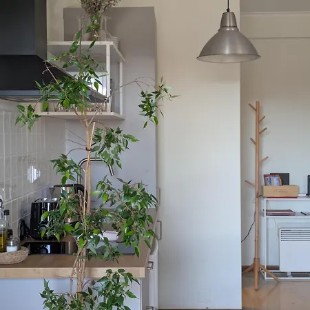 Casa Guilhermina, Sunny With Balcony דירה פורטו